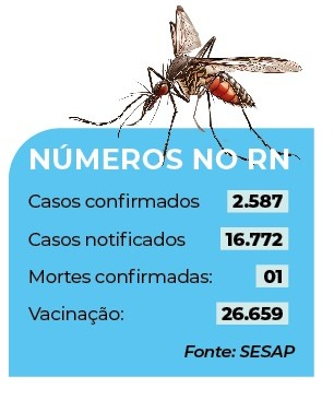  RN apresenta tendência de queda nos casos de dengue, aponta Ministério da Saúde