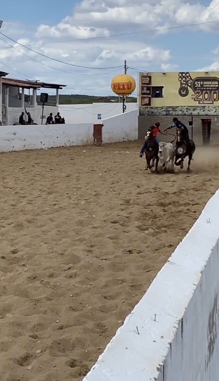 Vaquejada da Imaculada segue com a disputa final na tarde desta segunda-feira
